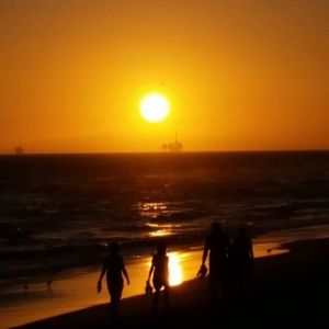 Meet your Posher, Pat